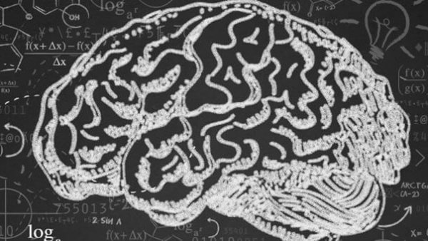 Nutritional Support for the Brain
