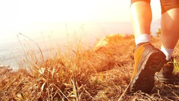 5 Steps to Wellness