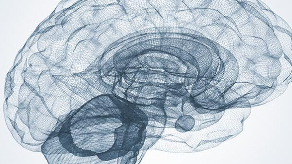 How Nutrition & Exercise Affect Your Brain