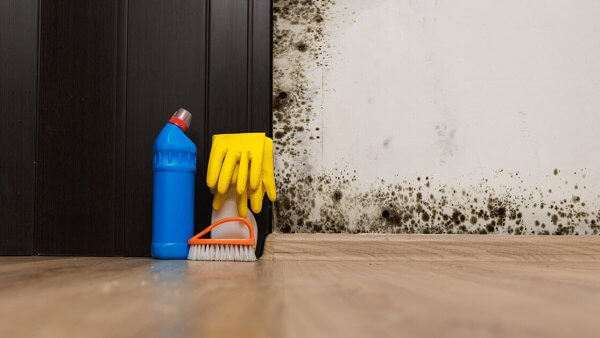 11 Signs of Mold Illness