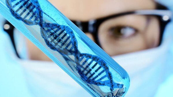 How Your Genes Affect Obesity