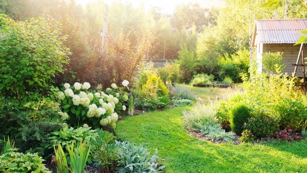Back to the Garden